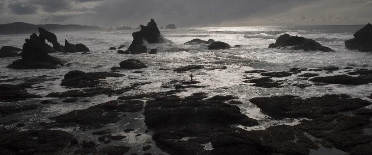 Supervision & monitoring IT